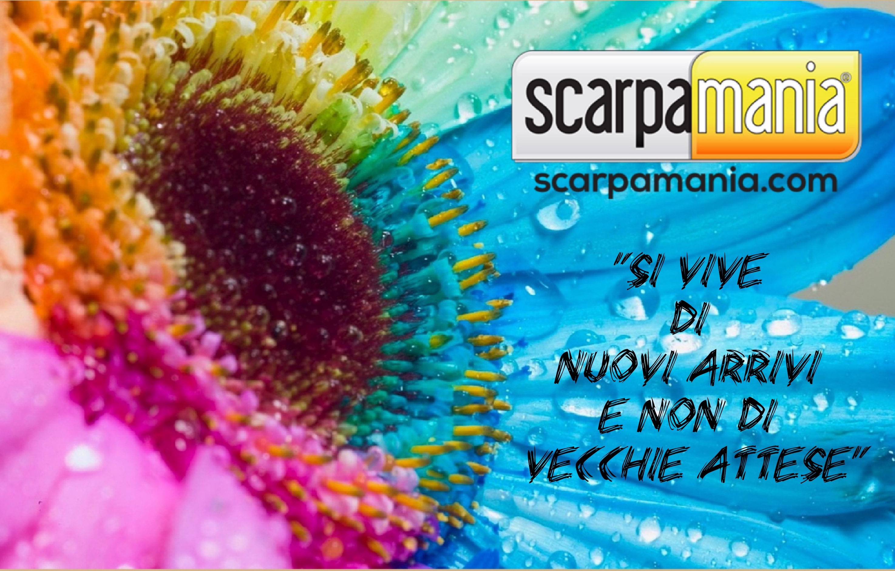 PUNTI VENDITA SCARPA MANIA